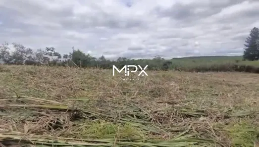 Lote/Terreno à venda, 5617m² no Santa Cruz, São Pedro
