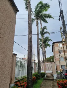 Apartamento com 2 Quartos para alugar, 52m² no Cohama, São Luís