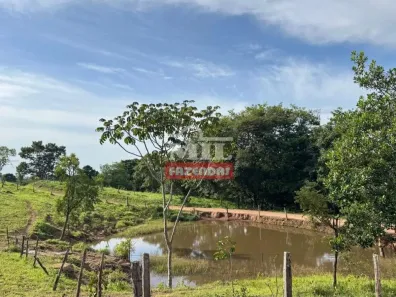 Fazenda/Sítio à venda, 100000000m² no Setor Central, Senador Canedo