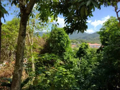 Lote/Terreno à venda, 334m² no Lagoa da Conceição, Florianópolis