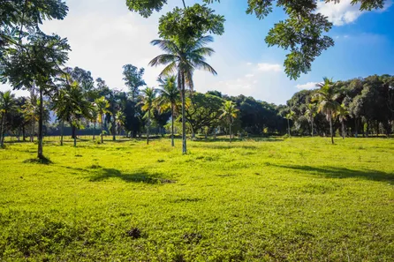 Lote/Terreno à venda, 167500m² no Guaratiba, Rio de Janeiro