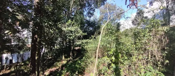 Lote/Terreno à venda, 411m² no Borgo, Bento Gonçalves