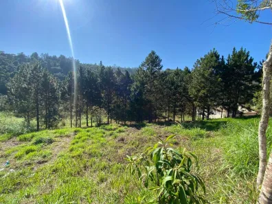 Lote/Terreno à venda, 10000m² no , Guararema