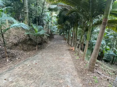 Fazenda/Sítio à venda, 52000m² no Centro, Camboriú