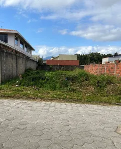 Lote/Terreno à venda, 310m² no Balneário dos Golfinhos, Caraguatatuba