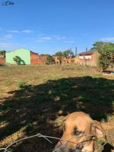 à venda, 1272m² no Parque João Braz - Cidade Industrial, Goiânia
