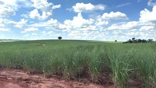 Fazenda/Sítio à venda, 3557400m² no Área Rural de Paranavaí, Paranavaí