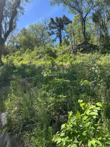Lote/Terreno à venda, 468m² no , Nova Petrópolis