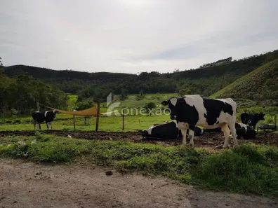 Fazenda/Sítio com 4 Quartos à venda, 90m² no , São Luiz do Paraitinga