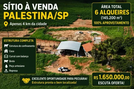 Fazenda/Sítio com 3 Quartos à venda, 145200m² no Centro, Palestina