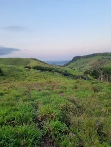 Fazenda/Sítio com 1 Quarto à venda, 1960000m² no , Atalaia