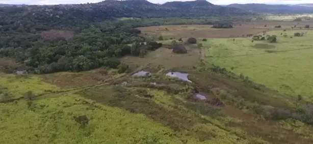 Fazenda/Sítio à venda, 300000m² no Centro, Naviraí