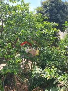 Casa com 2 Quartos à venda, 350m² no Inconfidentes, Contagem