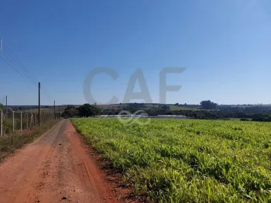 Fazenda/Sítio com 2 Quartos à venda, 70m² no , Holambra