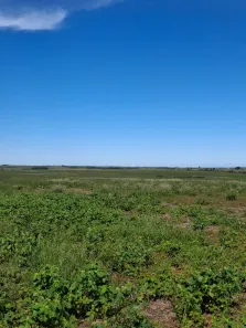 Fazenda/Sítio para alugar, 100000000m² no , Jardim