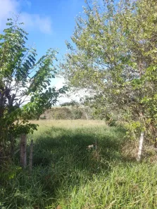 Fazenda/Sítio com 1 Quarto à venda, 20000m² no , Bofete