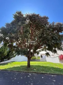 Lote/Terreno à venda, 409m² no Nova Uberlândia, Uberlândia