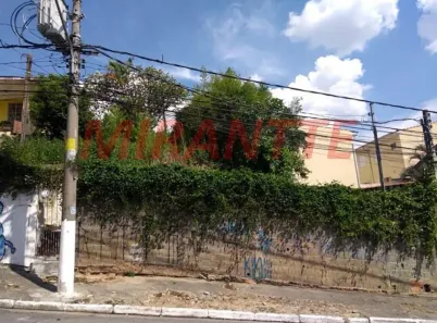 Lote/Terreno à venda, 1184m² no Vila Renato (Zona Norte), São Paulo