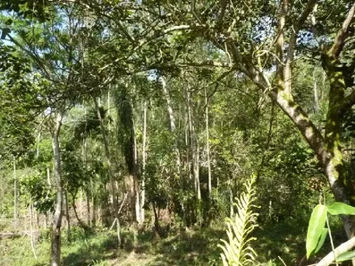 Lote/Terreno à venda, 1200m² no Loteamento Capital Ville, Jundiaí