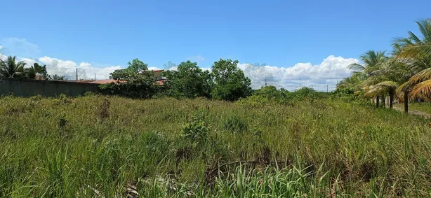 Lote/Terreno à venda, 6132m² no , Nova Viçosa