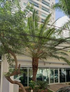 Apartamento com 2 Quartos à venda, 65m² no Centro, Campinas