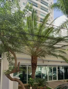 Apartamento com 2 Quartos à venda, 65m² no Centro, Campinas