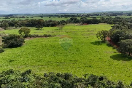 com 5 Quartos à venda, 266200m² no Ituverava, Ituverava