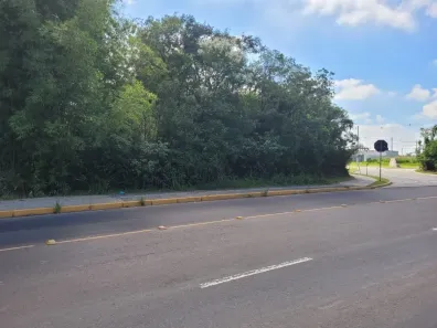 Lote/Terreno à venda, 4794m² no Barnabé, Gravataí