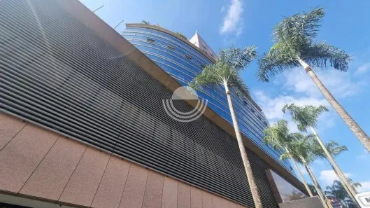 Sala Comercial para alugar, 380m² no Nova Campinas, Campinas