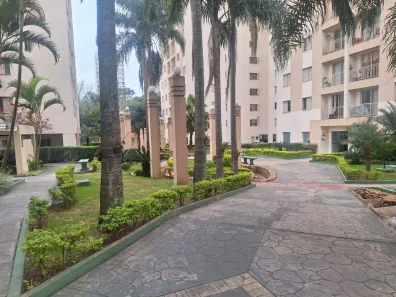 Apartamento com 3 Quartos para alugar, 65m² no Jardim Vazani, São Paulo