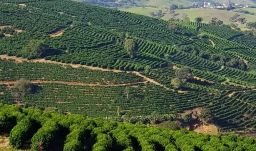 Fazenda/Sítio à venda, 1258400m² no Zona Rural, São Lourenço