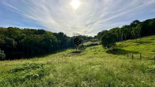 Fazenda/Sítio à venda, 22669m² no Jardim Bonamigo, Dois Irmãos