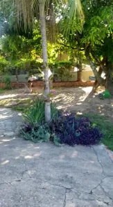 Fazenda/Sítio com 3 Quartos à venda, 162m² no , Conchas