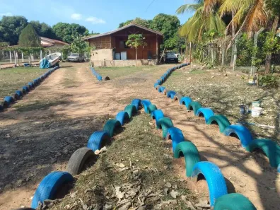 Fazenda/Sítio com 2 Quartos à venda, 1000m² no Sobradinho, Adolfo