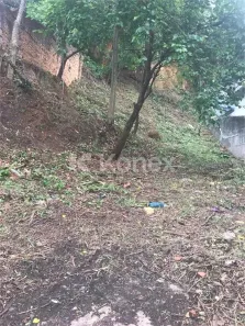 Lote/Terreno à venda, 533m² no Vila Gustavo, São Paulo