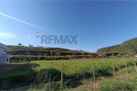 Fazenda/Sítio à venda, 2000m² no Guaçuí, Guaçuí