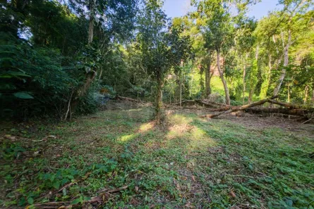 Lote/Terreno à venda, 11000m² no Boiçucanga, São Sebastião
