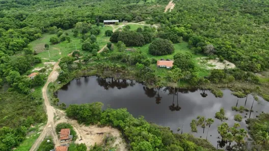 Fazenda/Sítio com 15 Quartos à venda, 5100m² no , Buritizeiro