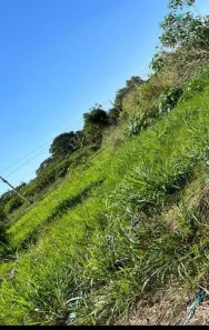 Lote/Terreno à venda, 216m² no Avenida Parque, Bady Bassitt