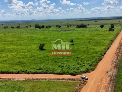 Fazenda/Sítio à venda, 1m² no , Montes Claros de Goiás