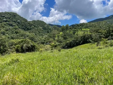 Lote/Terreno à venda, 5000m² no , Santo Antônio do Pinhal