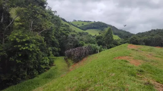 Lote/Terreno à venda, 32000m² no Igrejinha, Juiz de Fora