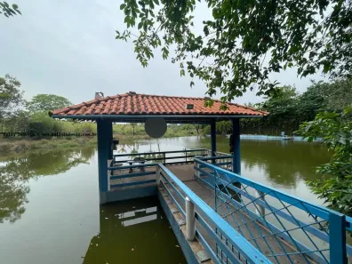 Fazenda/Sítio com 3 Quartos à venda, 72600m² no Jardim Paulistano, Presidente Prudente