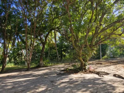 Lote/Terreno à venda, 10995m² no Guarajuba (Monte Gordo), Camaçari