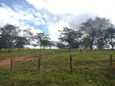 Fazenda/Sítio com 5 Quartos à venda, 73m² no Lamounier, Itapecerica