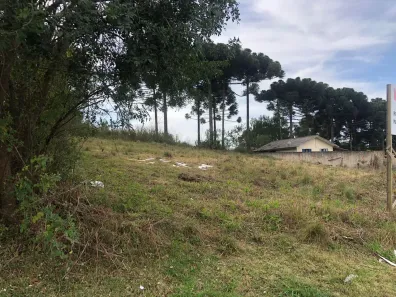 Lote/Terreno à venda, 982m² no Campina do Arruda, Almirante Tamandaré