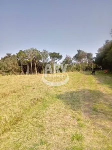 Fazenda/Sítio com 3 Quartos à venda, 252m² no Águas Claras, Viamão