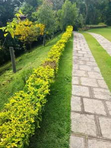 Lote/Terreno à venda, 985m² no Albuquerque, Teresópolis
