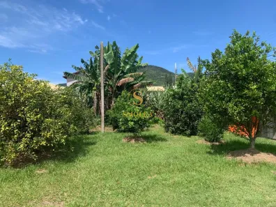 Lote/Terreno à venda, 450m² no Ratones, Florianópolis