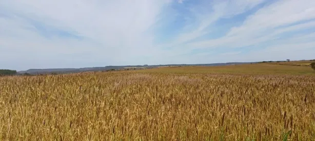 Fazenda/Sítio com 4 Quartos à venda, 2980000m² no , Brasília